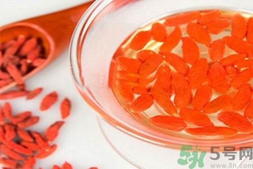 枸杞泡水有什么害處？枸杞泡水喝有什么好處？
