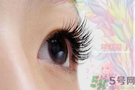 種睫毛的危害有哪些？種睫毛能保持多久？