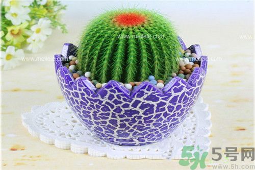 吃海帶可以防輻射嗎?常吃什么食物抗輻射比較好？