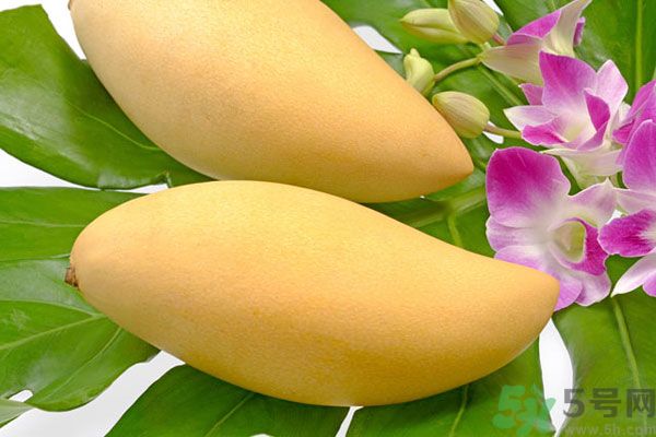 吃芒果嘴唇過敏怎么辦？為什么吃了芒果后嘴巴癢？