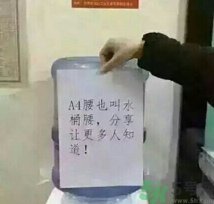 a4腰也叫水桶腰是什么意思？a4腰也叫水桶腰圖片？ 