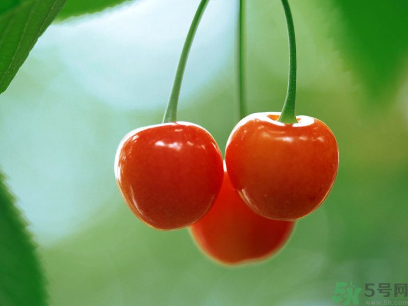 春分時節(jié)養(yǎng)生吃什么水果好？那些水果可以春天吃？