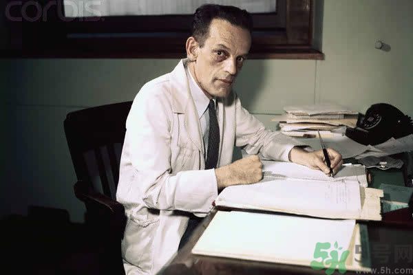 黃熱病是什么疾?。奎S熱病怎樣有效的預防？