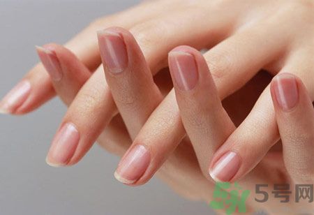 從月牙看健康 如何從月牙看出你的體質(zhì)？