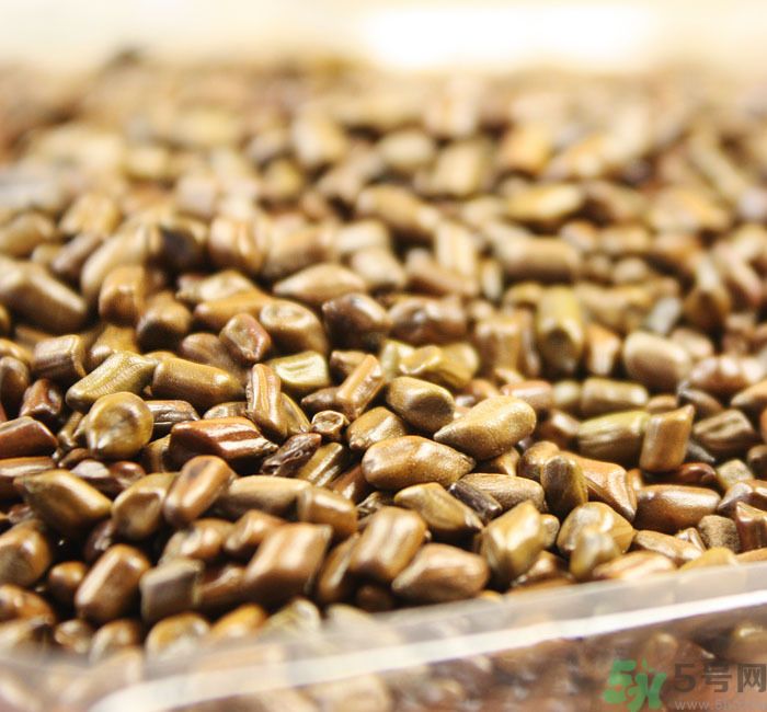 什么花可以凈化空氣？什么花可以減肥？