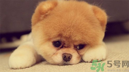 睡覺能戴手表嗎？睡覺不能帶的東西有哪些？