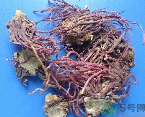 紫菀的功效和作用是什么？紫菀的用法用量是多少？