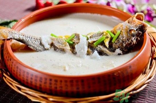 煲魚湯怎么去腥？家常魚湯做法有哪些？