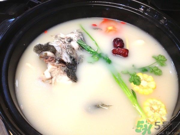 煲魚湯怎么去腥？家常魚湯做法有哪些？