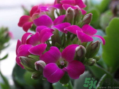 從身體特征看出你是否長壽？要長壽學(xué)要做這些？