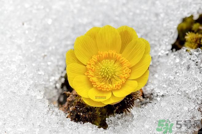 清明節(jié)有哪些習俗？清明節(jié)習俗的來源？