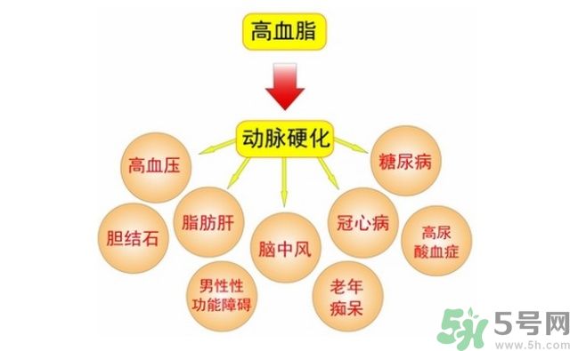 吃什么可以降血脂？高血脂吃什么好？