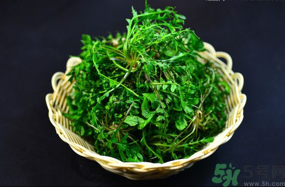 薺菜根能吃嗎？薺菜要去根吃嗎？