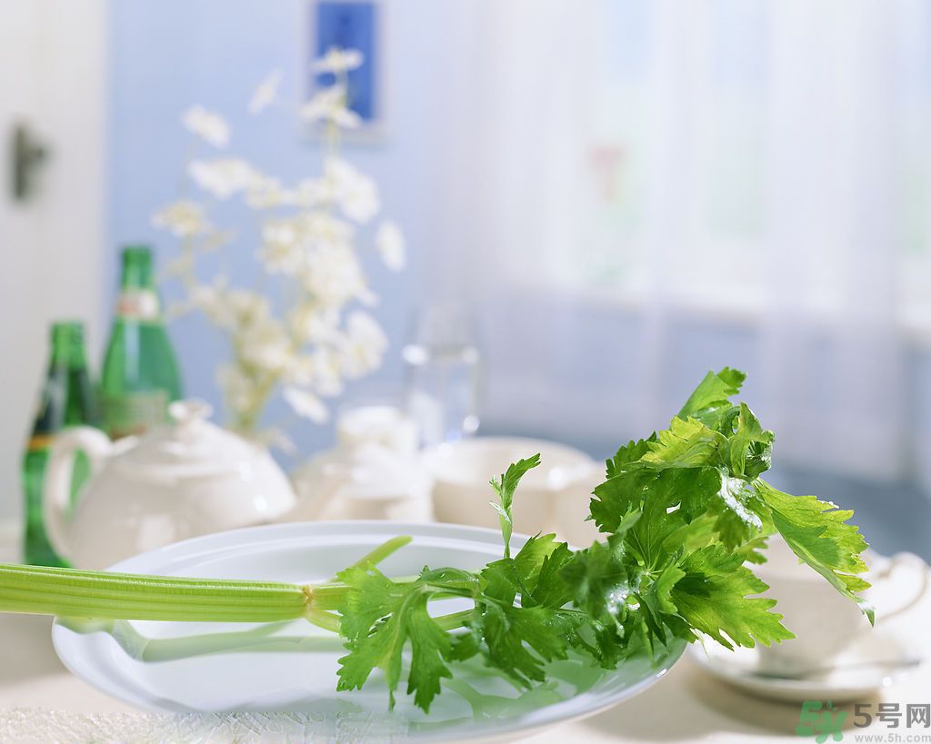 芹菜可以減肥嗎？芹菜有什么功效？
