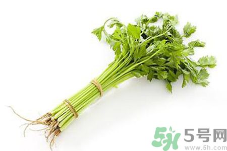 芹菜可以減肥嗎？芹菜有什么功效？