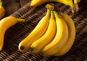 體寒能吃香蕉嗎？體寒吃香蕉好嗎？