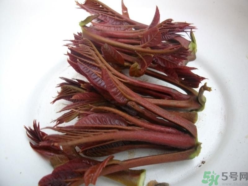 香椿好吃嗎？香椿可以做菜嗎？