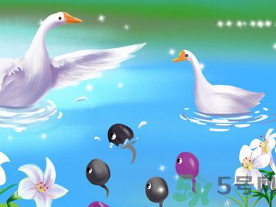 懷孕前要做檢查嗎？哪些人群必須要進(jìn)行孕前檢查？