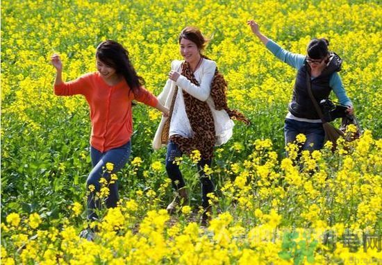 清明節(jié)的習(xí)俗有哪些？清明節(jié)吃什么？