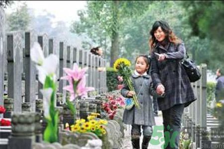 么時間適合掃墓？清明掃墓什么時間好？