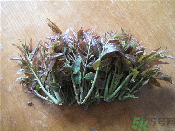 香椿怎么吃才安全？吃香椿的最佳時間是什么時候？