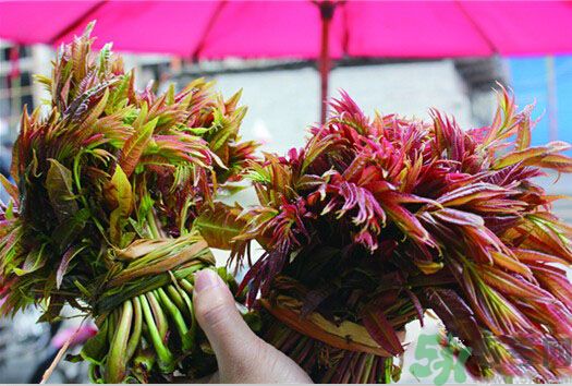 香椿怎么吃才安全？吃香椿的最佳時間是什么時候？