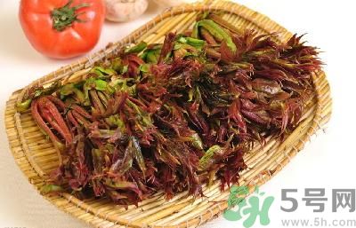 吃香椿有什么好處？香椿可以預防疾病嗎？