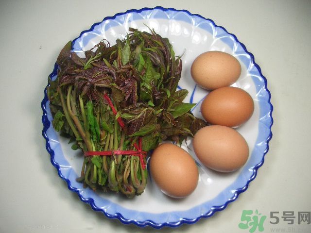 怎么挑選香椿呢？挑選香椿的小竅門？