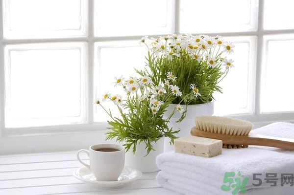 怎么樣才能健康活到100歲？健康長壽有什么要求？