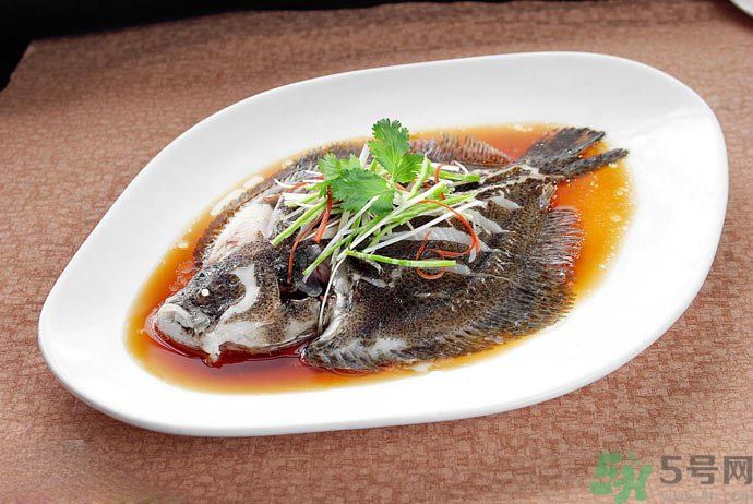 怎么挑選魚？挑魚的技巧有哪些？