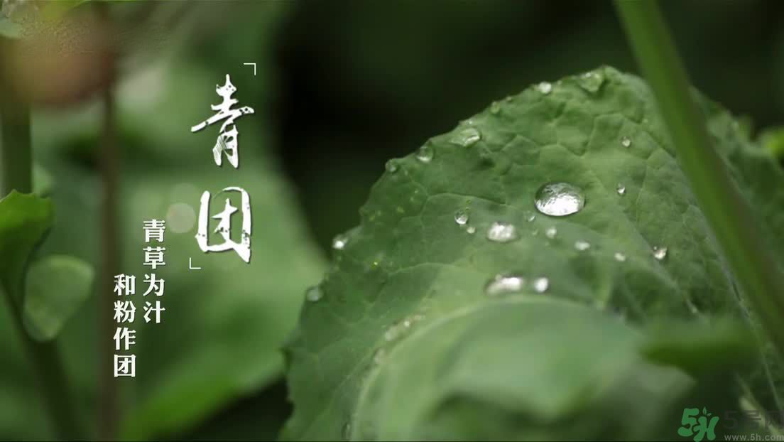 什么人不能吃青團(tuán)？吃青團(tuán)要注意什么？