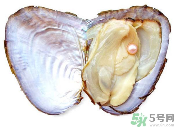 河蚌什么時候吃最好？吃河蚌有什么好處？