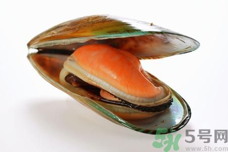 河蚌怎么殺？怎么殺河蚌才可以？