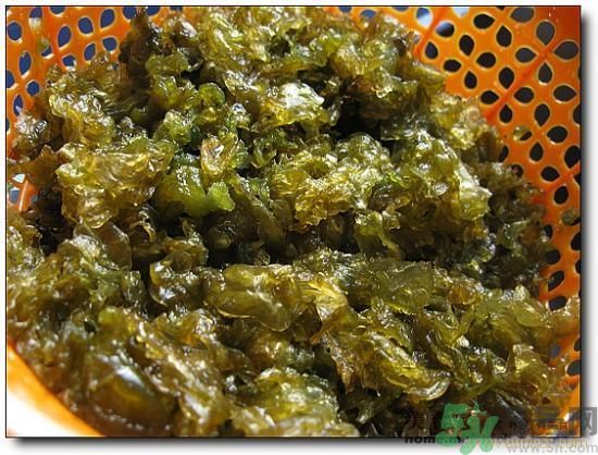 地皮菜怎么清洗干凈？怎樣洗地皮菜？