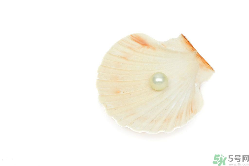 河蚌怎么炒才不會老？炒河蚌要注意什么？