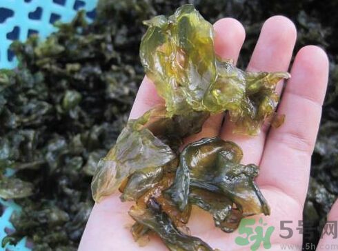 地皮菜孕婦能吃嗎？地皮菜孕婦吃好嗎？