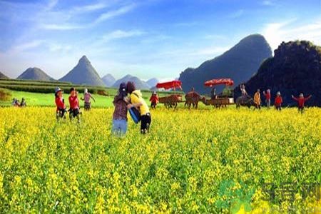 清明節(jié)為什么要踏青？清明節(jié)踏青有什么好處？