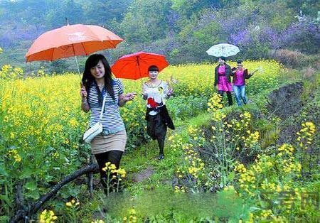 清明節(jié)為什么要踏青？清明節(jié)踏青有什么好處？