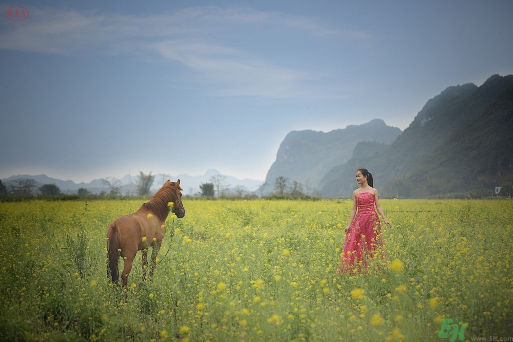 清明踏青穿什么衣服？清明踏青要注意什么？