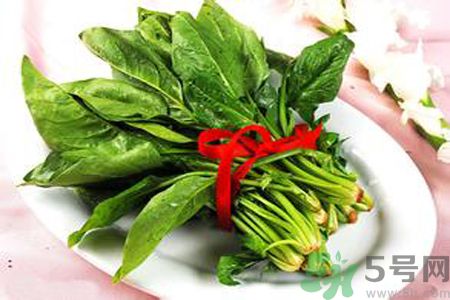 補(bǔ)血吃什么好？補(bǔ)血的食物有哪些？