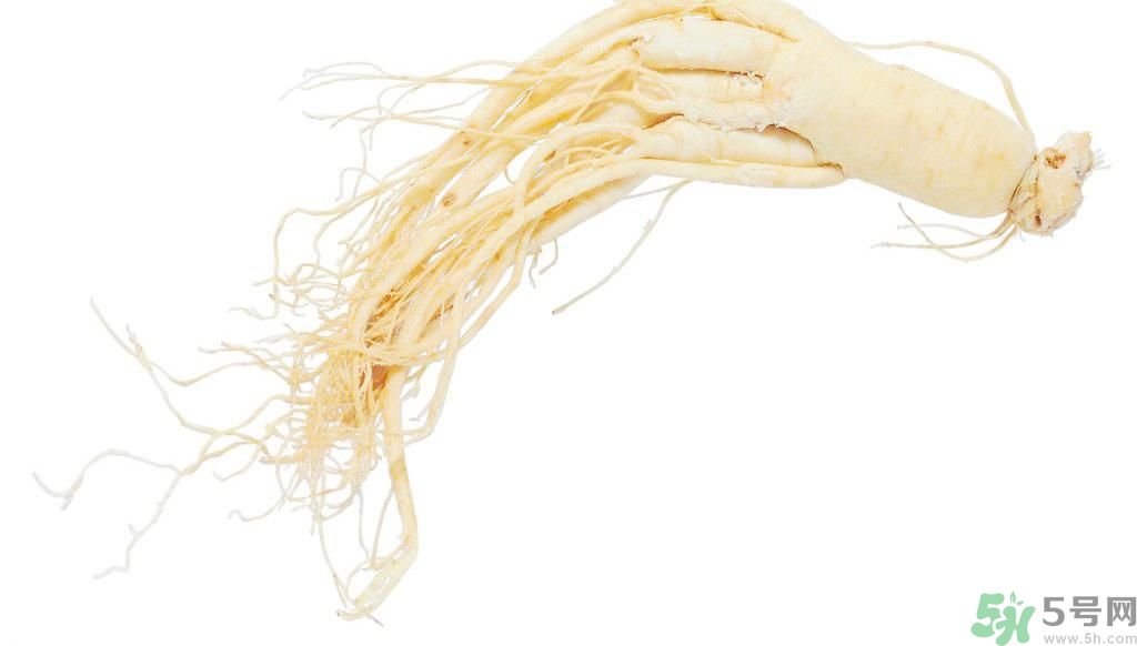 補氣血的中藥有哪些？哪些中藥補氣血？