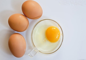 高血脂可以吃雞蛋嗎？高血脂可以喝牛奶嗎？