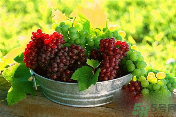 高血脂吃什么水果好？什么水果可以降血脂？