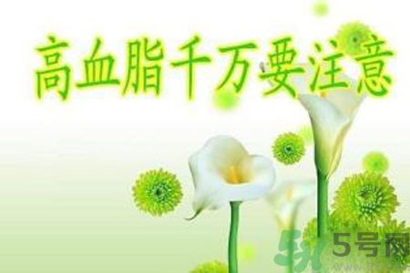 高血脂會頭暈嗎？高血脂會引起高血壓嗎？