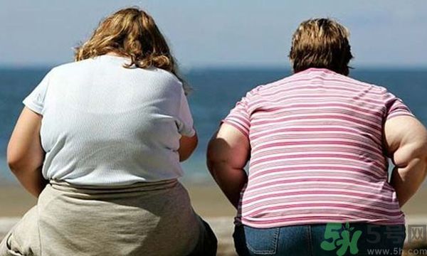 膽固醇高是什么原因？膽固醇高有什么危害？