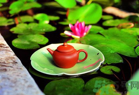 降血脂的茶有哪些？什么茶可以降血脂？