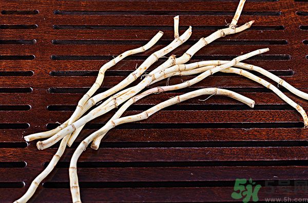 魚腥草能泡水喝嗎？魚腥草泡水喝有什么功效？