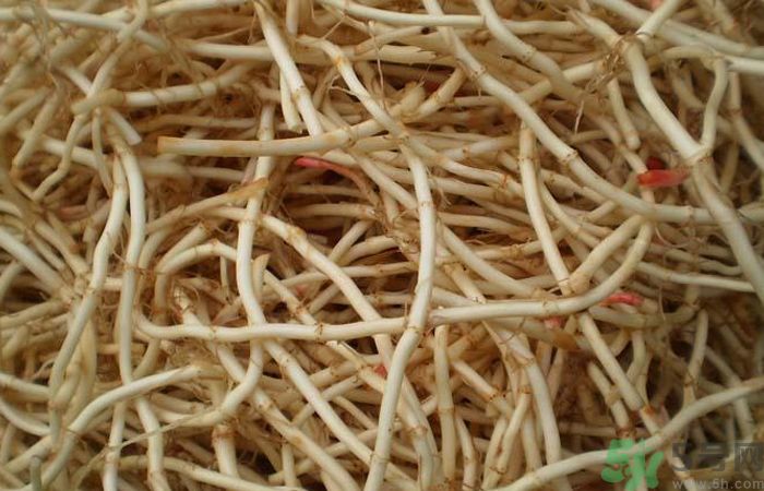 魚腥草能泡水喝嗎？魚腥草泡水喝有什么功效？