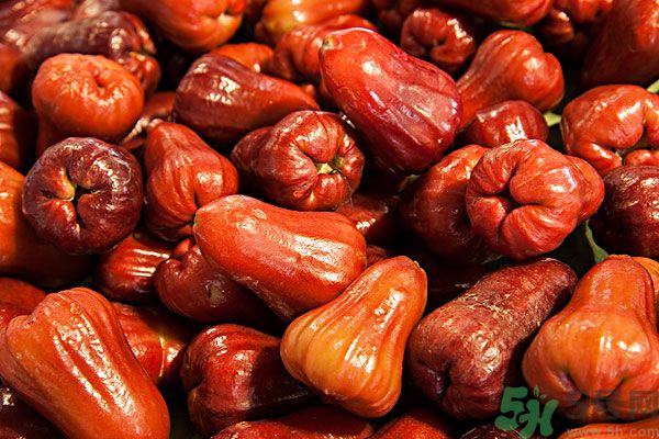 蓮霧孕婦能吃嗎？孕婦可以吃蓮霧嗎？