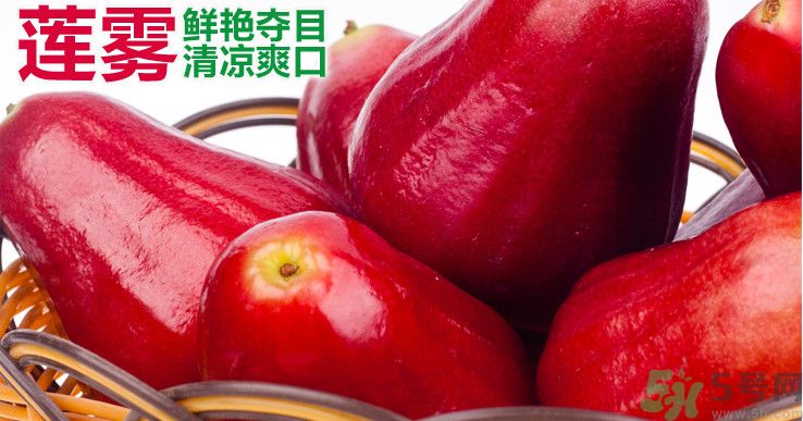 咳嗽能吃蓮霧嗎？蓮霧咳嗽可以吃嗎？